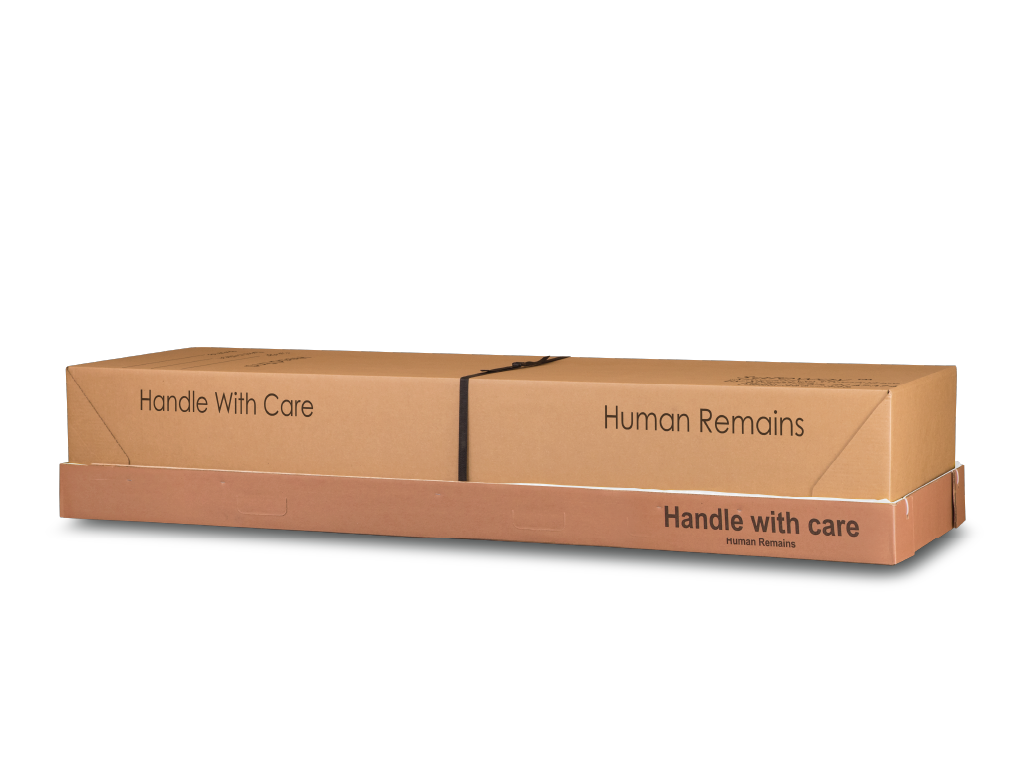 Chaise Bed Viewer Rental Insert with Lid