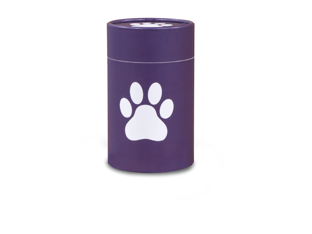 Biodegradable PetScattering Urn