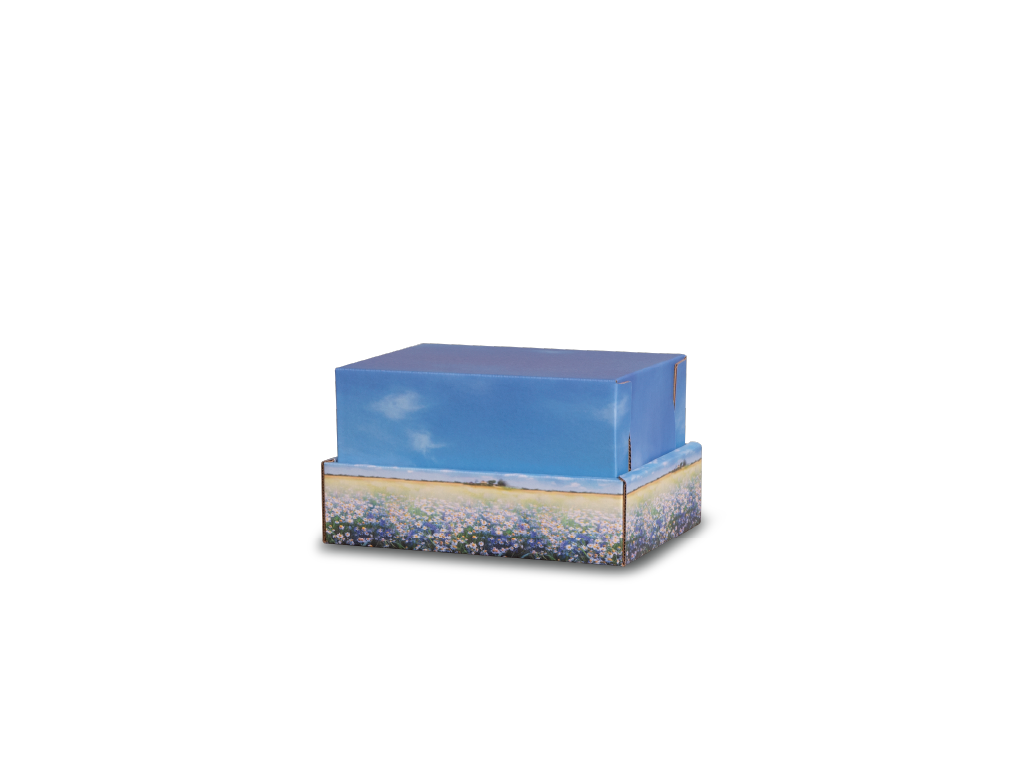 Backyard Burial & Cremation Containers