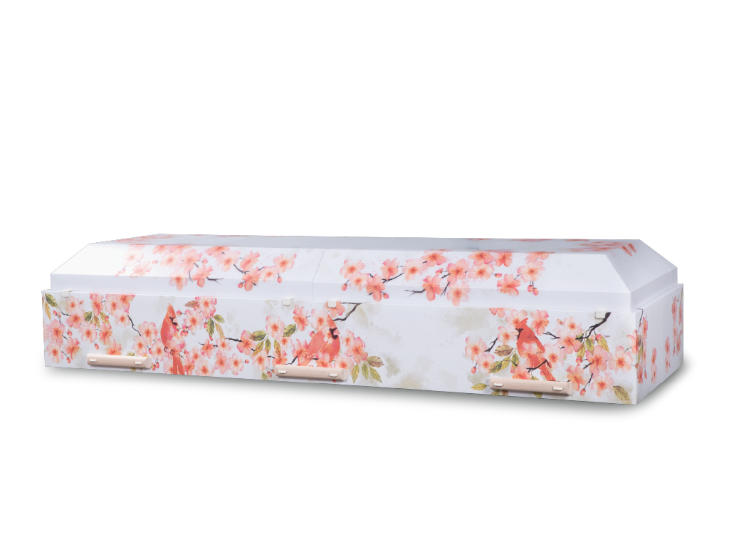 Canvas™ Viewing Container - Kindred Sky Closed