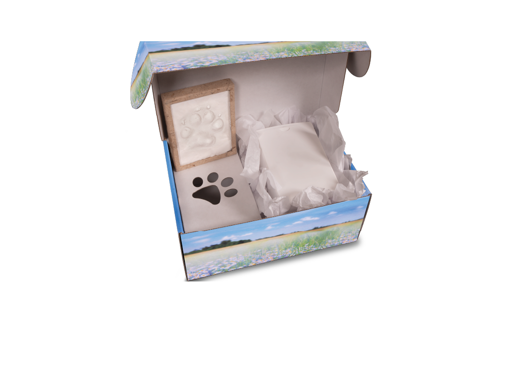 Companion's Keep™ All-In-One Kit Meadow Flowers