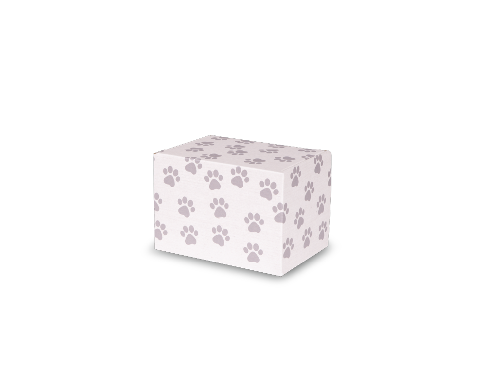 Keepsake Containers Medium Paw Print