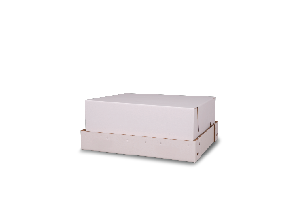 PLACEHOLDER Pet Container White Small