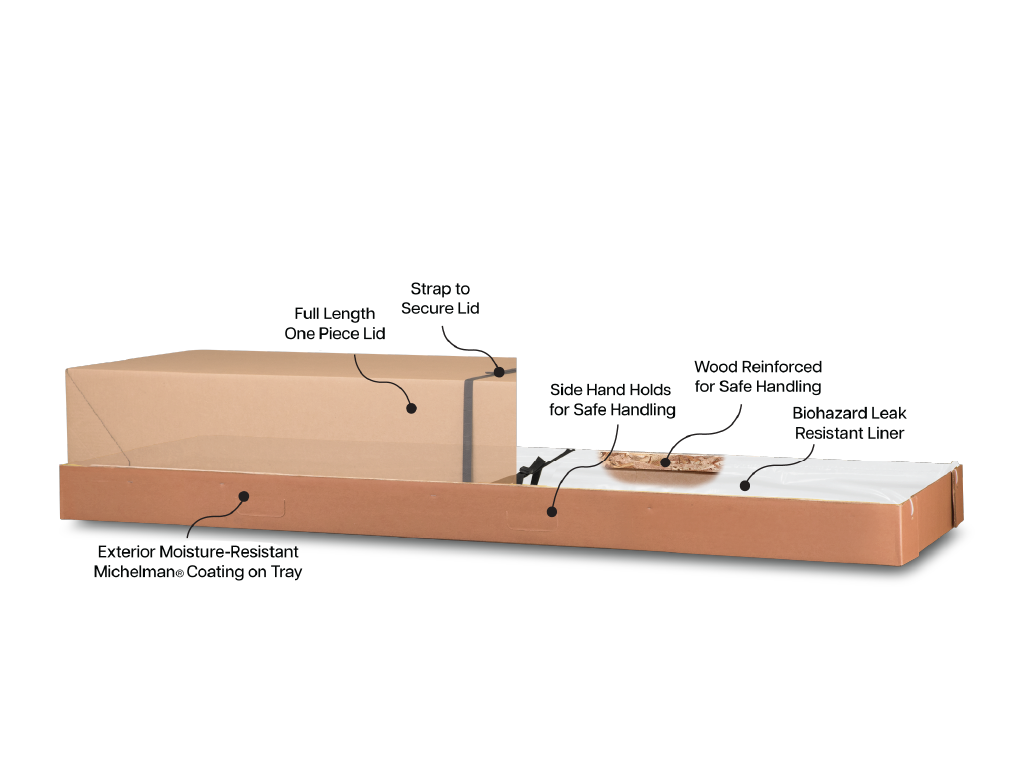 Safeway® Cremation Container Illustration
