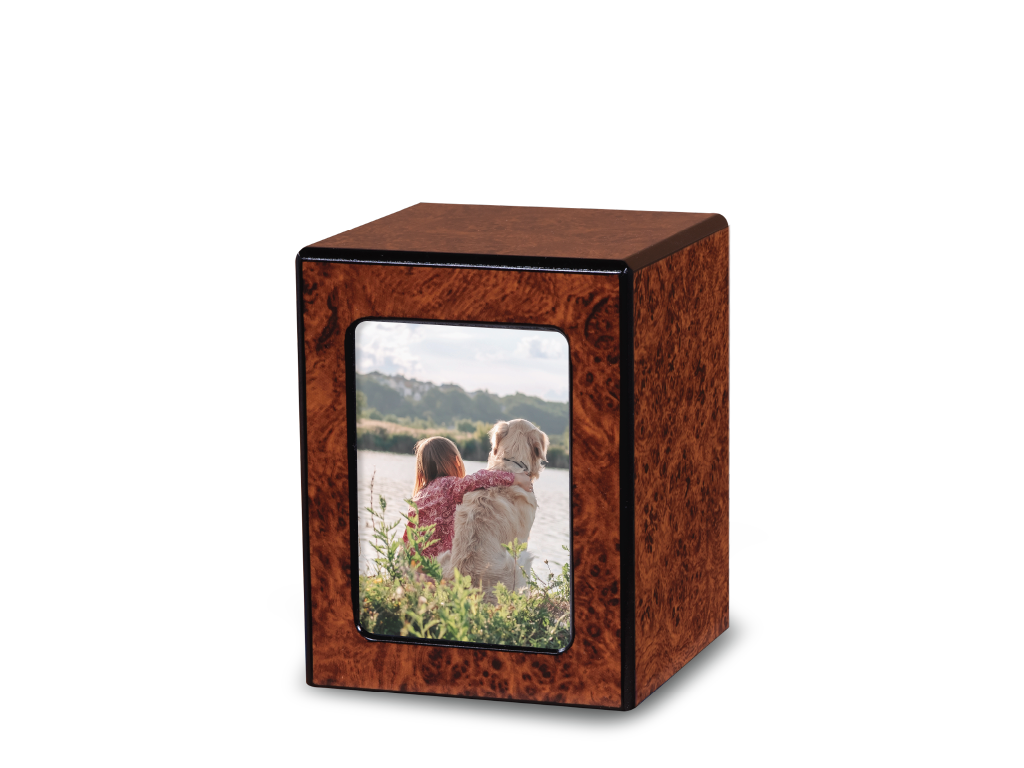 Society Urn Burl Medium with Window