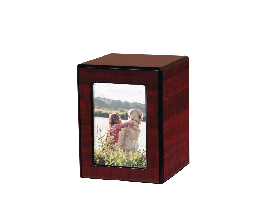 Society Urn Cherry Medium Photo with Window