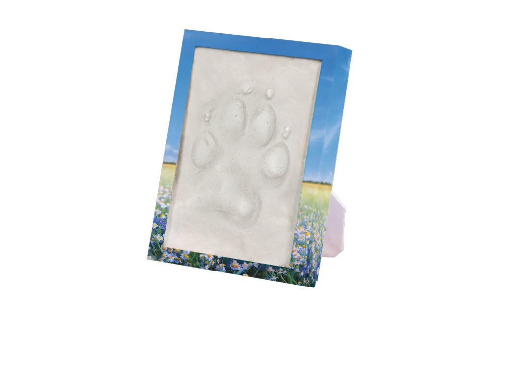 Treasured View Frame Meadow Flower