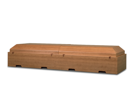 Beechwood Vista™ Viewing Container Closed