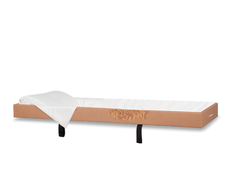 Bed Viewer Wood-Base Rental Insert