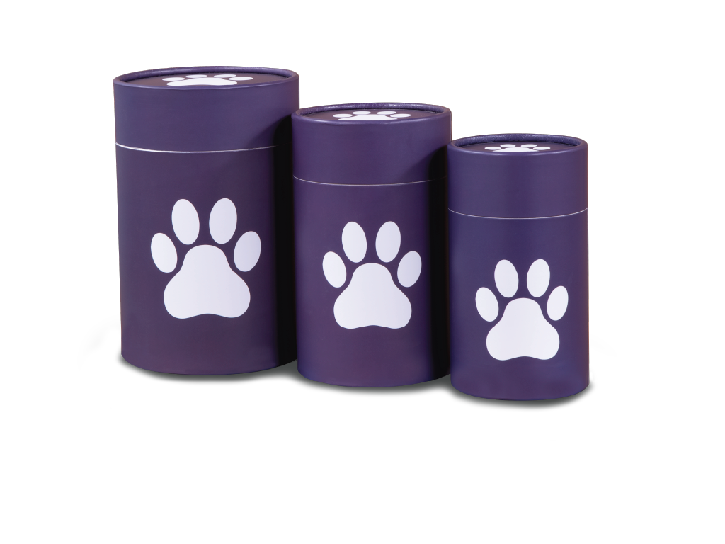 Biodegradable Pet Scattering Urn - Group