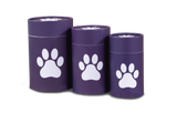 Biodegradable Pet Scattering Urn - Group