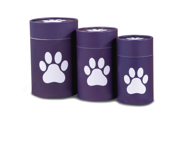 Biodegradable Pet Scattering Urn - Group