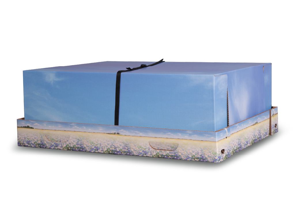 Meadow XL Pet Cremation Container with Lid | Starmark® – Starmark