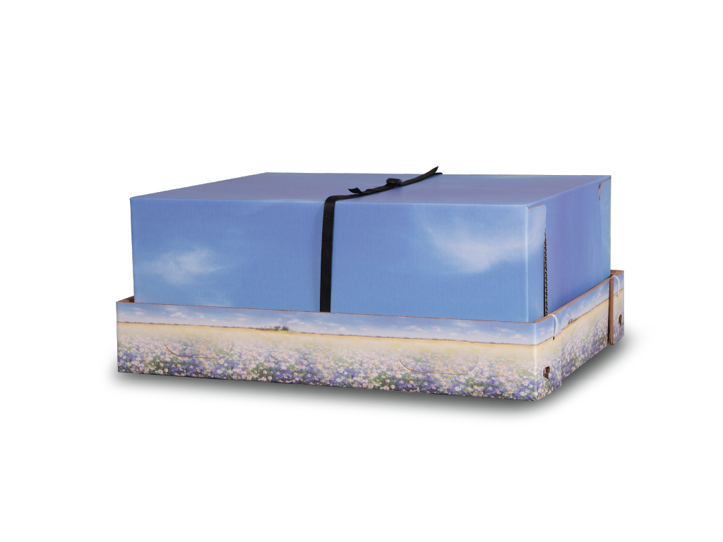 Meadow Large Pet Cremation Container with Lid | Starmark® – Starmark