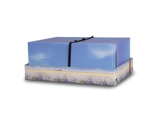 Medium Meadow Flowers Backyard Burial & Cremation Containers
