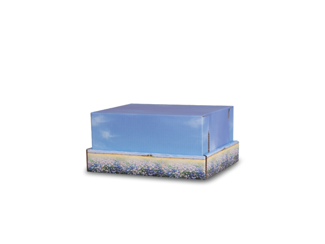 Small Meadow Flowers Backyard Burial & Cremation Containers
