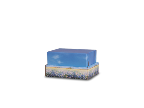 Extra Small Meadow Flowers Backyard Burial & Cremation Containers