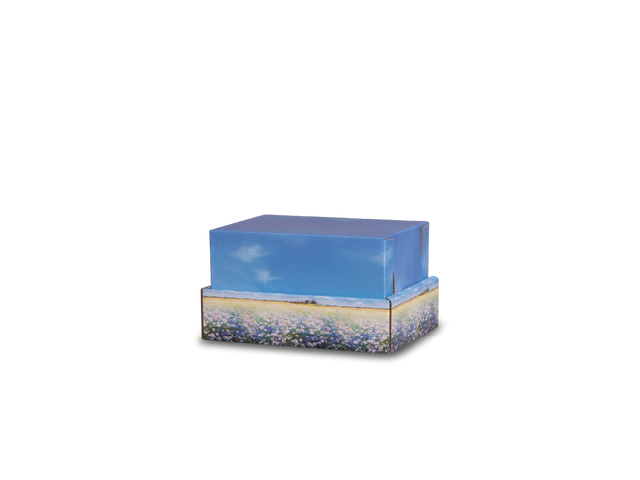 Extra Small Meadow Flowers Backyard Burial & Cremation Containers