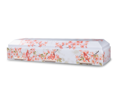 Canvas™ Viewing Container - Kindred Sky Closed