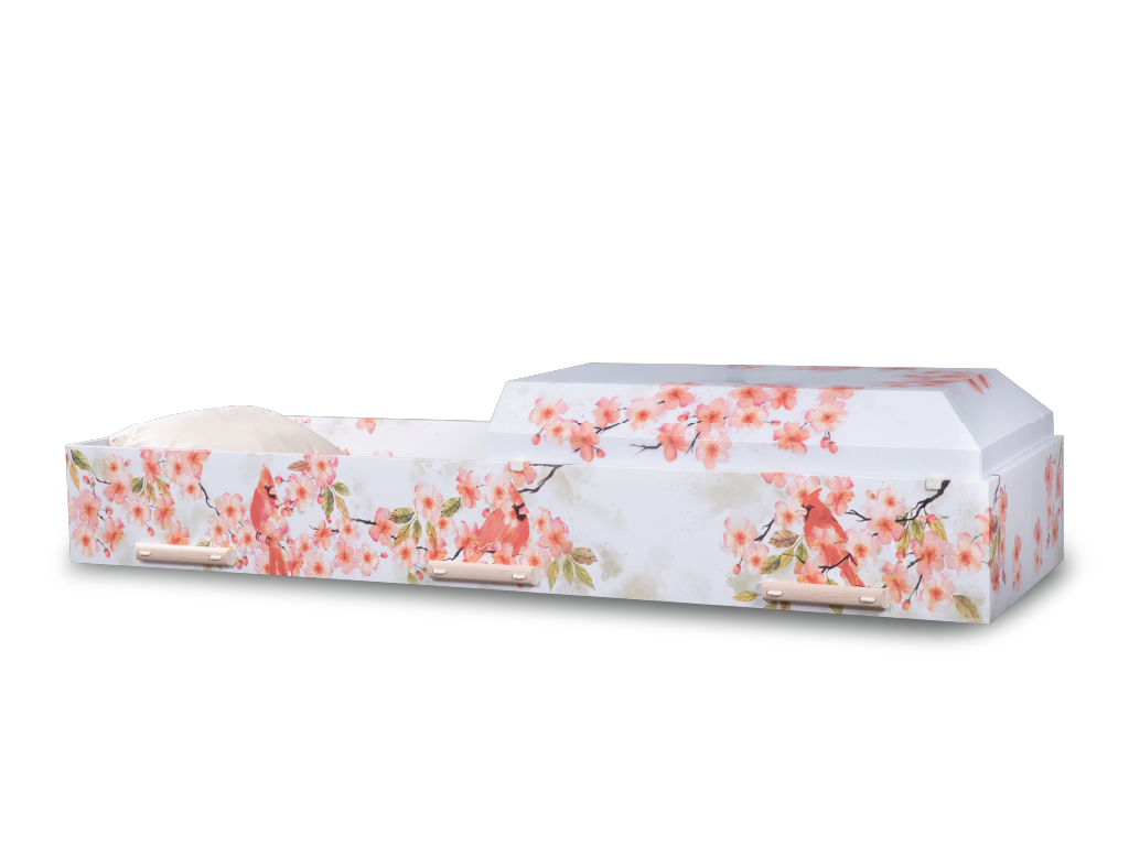 Canvas™ Viewing Container - Kindred Sky Open