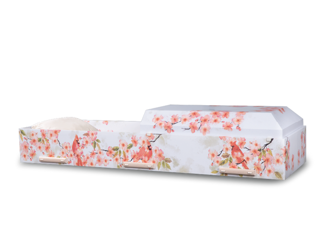 Canvas™ Viewing Container - Kindred Sky Open