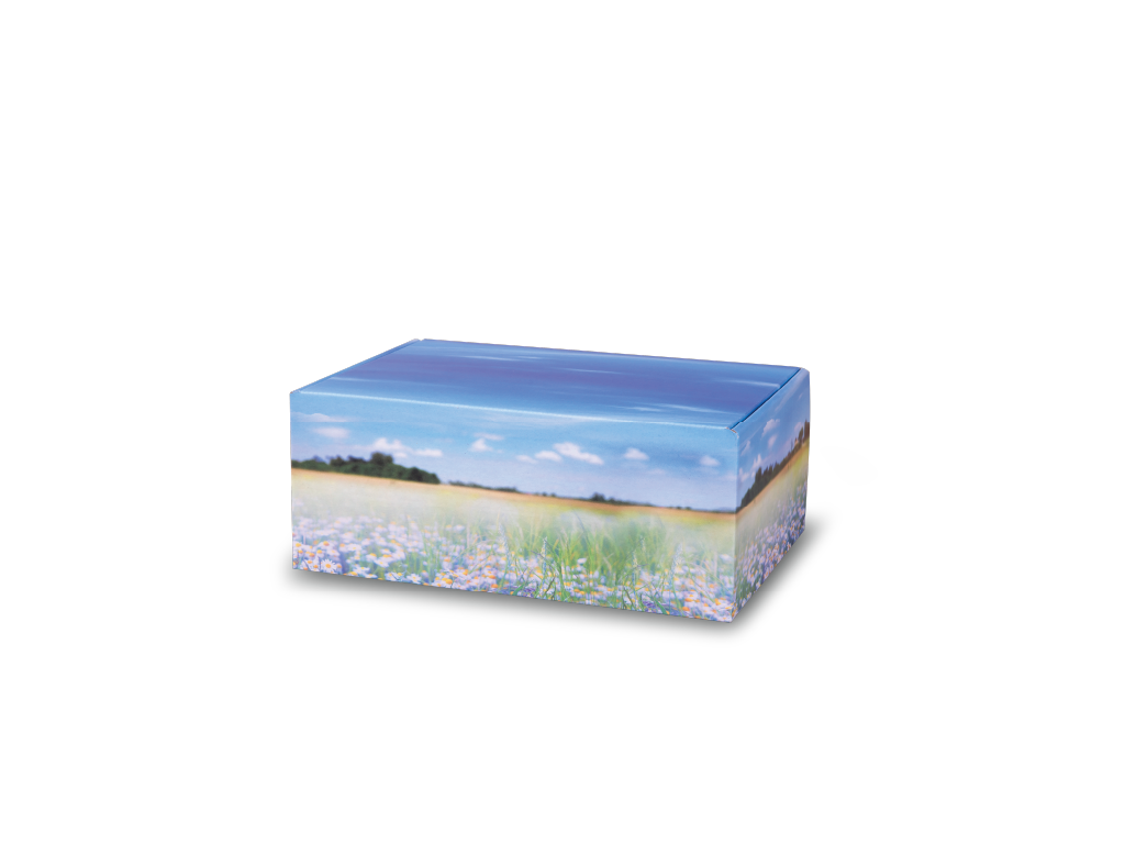 Companion's Keep™ Meadow Flowers