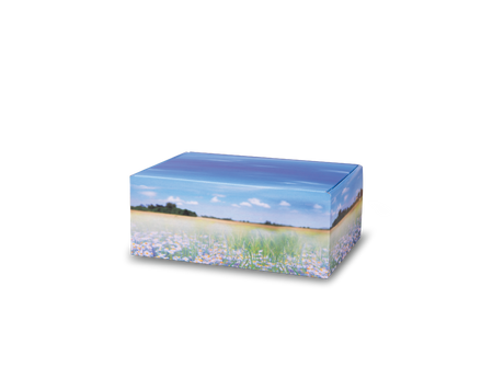 Companion's Keep™ Meadow Flowers