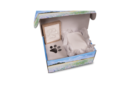 Companion's Keep™ All-In-One Kit Meadow Flowers