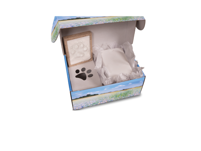 Companion's Keep™ All-In-One Kit Meadow Flowers