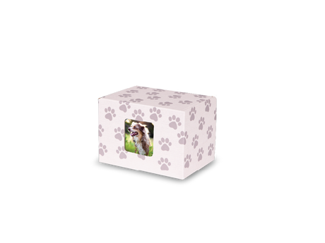 Keepsake Containers Medium Paw Print Windowed