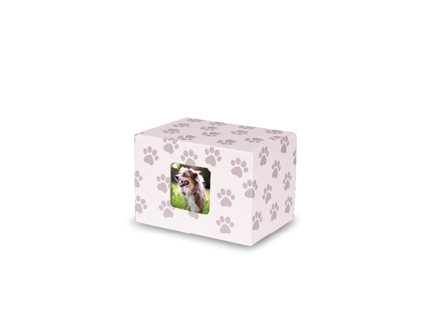 Keepsake Containers Medium Paw Print Windowed
