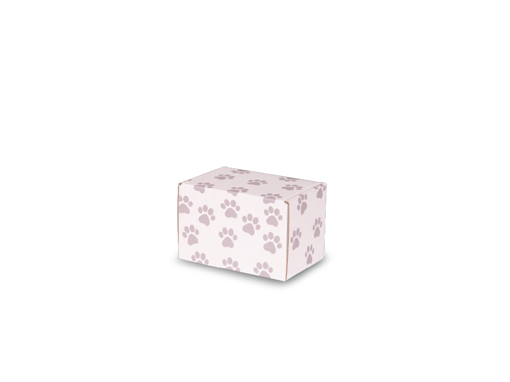 Keepsake Containers Small Paw Print