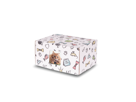Keepsake Containers Standard Cat Print with Window