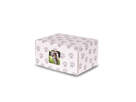 Keepsake Containers Standard Paw Print with Window