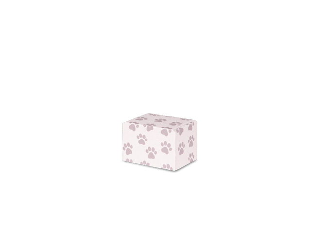 Keepsake Containers Extra Small Paw Print