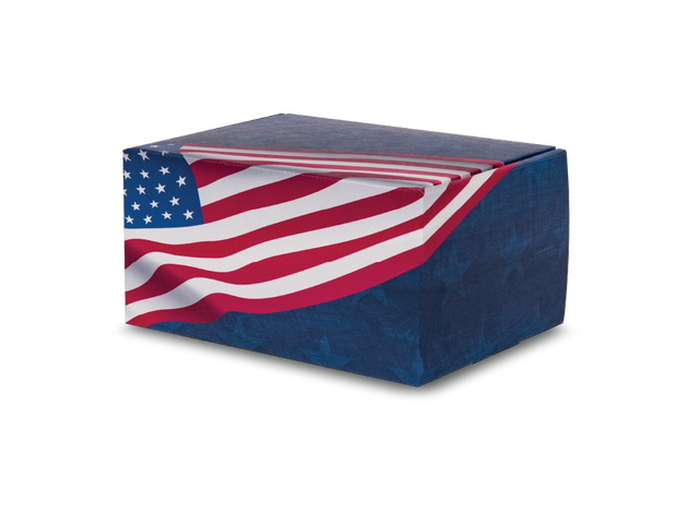 Artisan™ Print Urn Patriot Oversize Closed