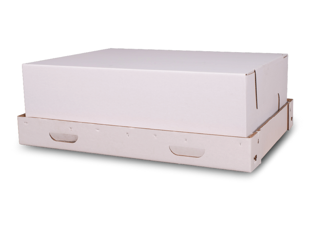 Extra Large White Backyard Burial & Cremation Containers