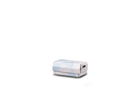 Child Container Cloud Print Small 
