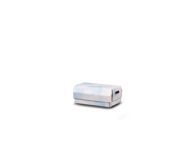 Child Container Cloud Print Small 