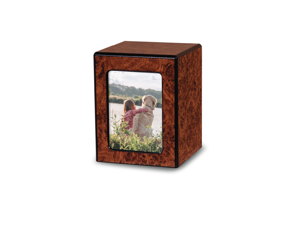 Society Urn Burl Medium with Window