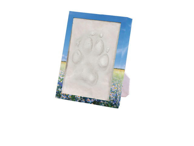 Treasured View Frame Meadow Flower