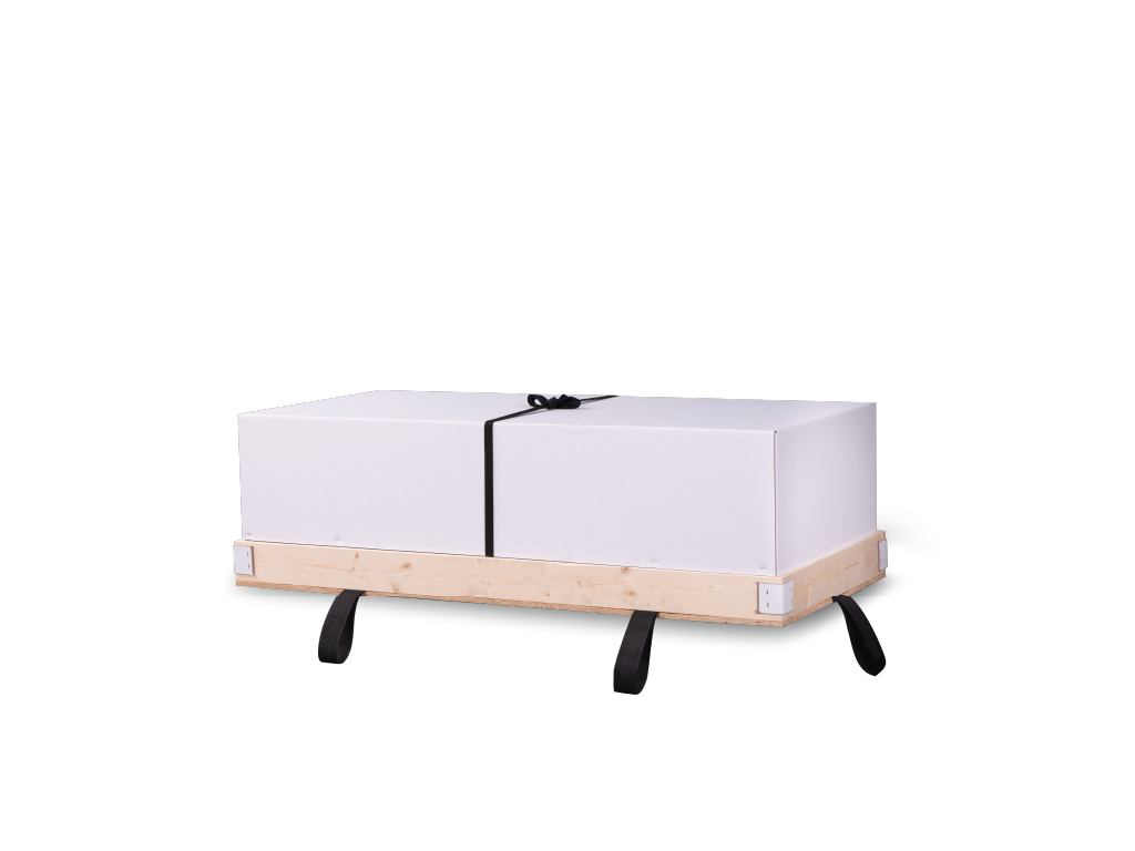 Combo Child Shipping Tray